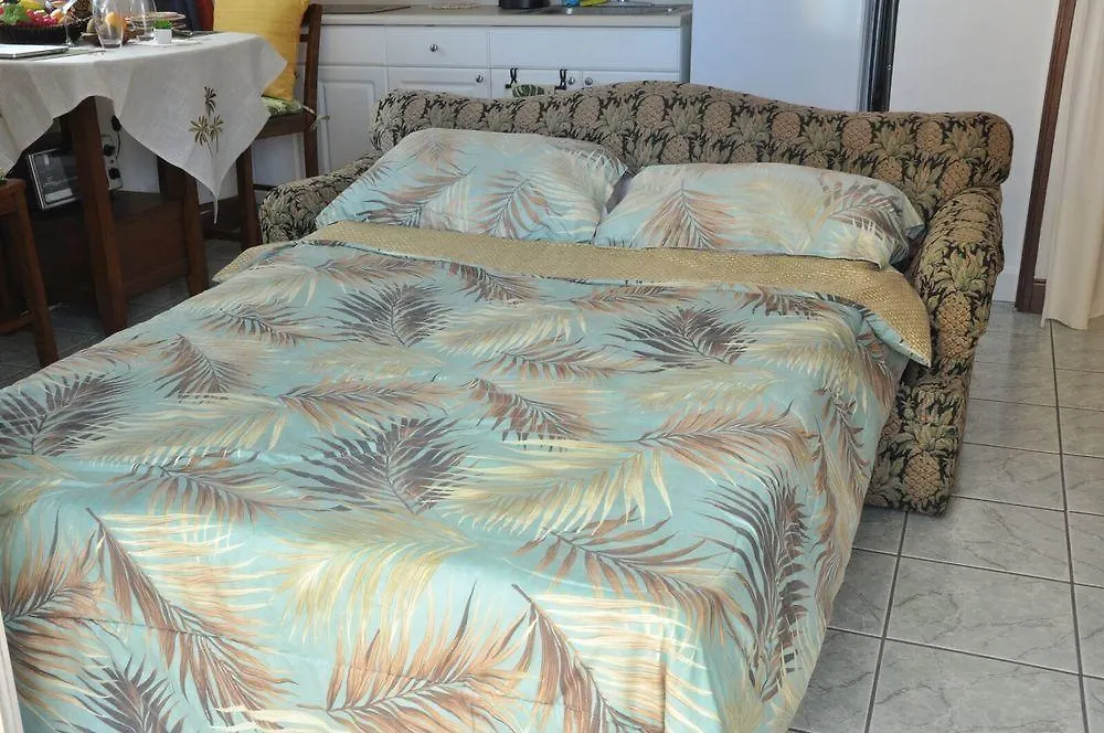 Apartmán Jenny'S Cottage Waikiki Honolulu